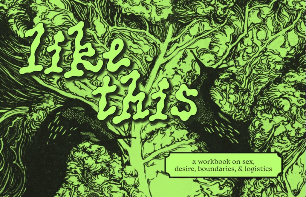 Cover of the zine "Like This: A Workbook on Sex, Desire, Boundaries, and Logistics". The title is in wiggly bubble letters, and the background is an illustration of two slugs crawling on a big leaf of cabbage.