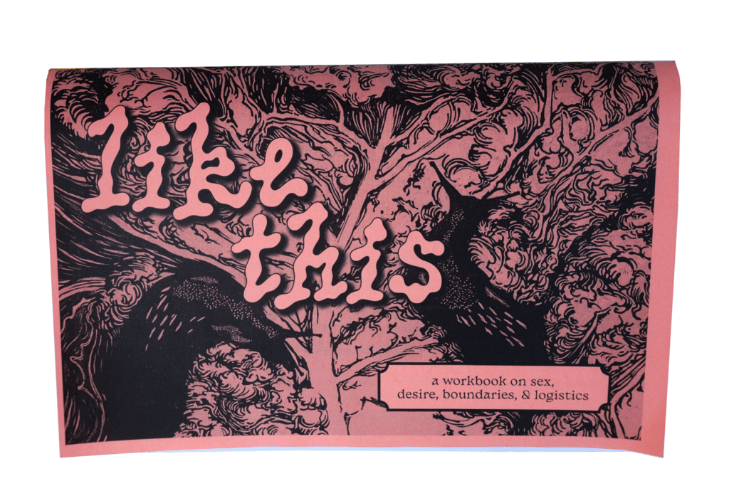 LIKE THIS: A workbook on sex, desire, boundaries, and logistics (print)