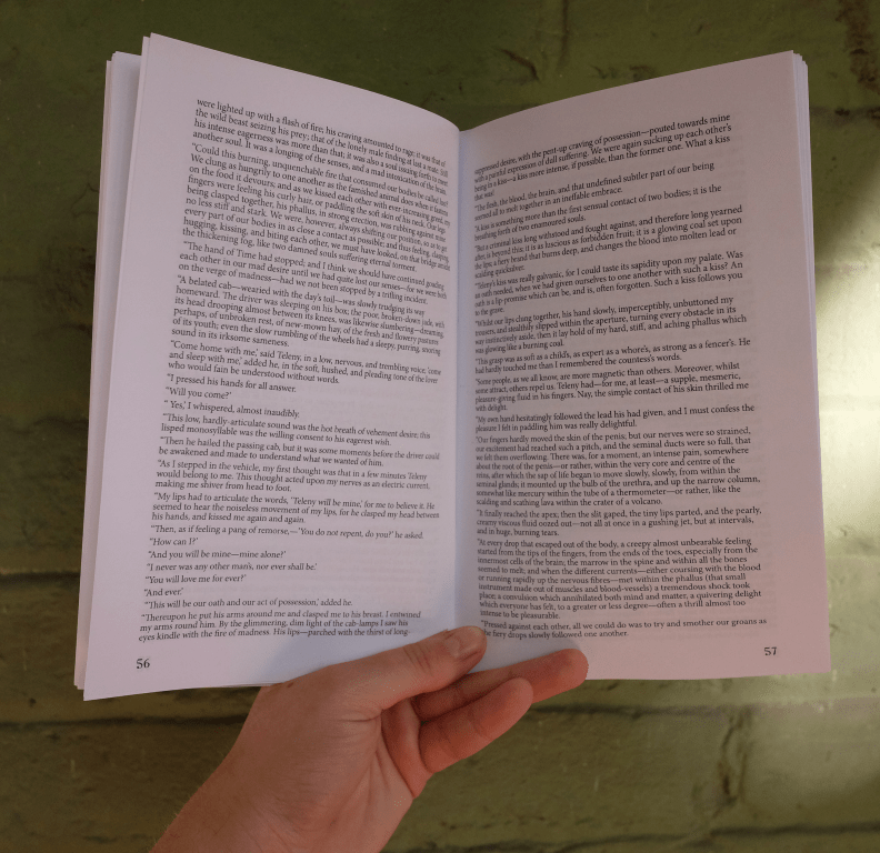Teleny, an anonymous novel possibly co-written by Oscar Wilde, in zine form - Image 5