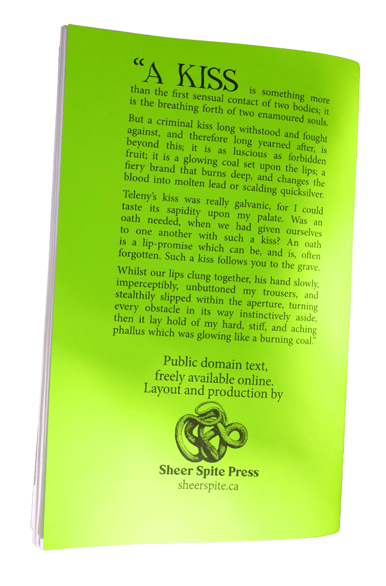 Teleny, an anonymous novel possibly co-written by Oscar Wilde, in zine form - Image 2