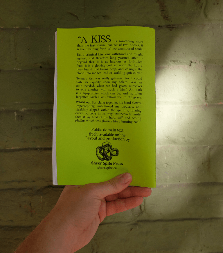 Teleny, an anonymous novel possibly co-written by Oscar Wilde, in zine form - Image 4