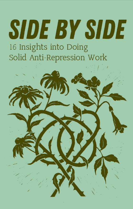 Side By Side: 16 Insights into Doing Solid Anti-Repression Work, ed. Cindy Barukh Milstein (digital)